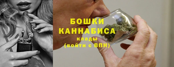 2c-b Надым