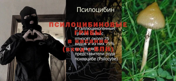 мдпв Наволоки