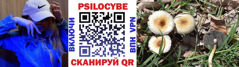 кракен ССЫЛКА купить наркотики цена Ульяновск Псилоцибиновые грибы Cubensis
