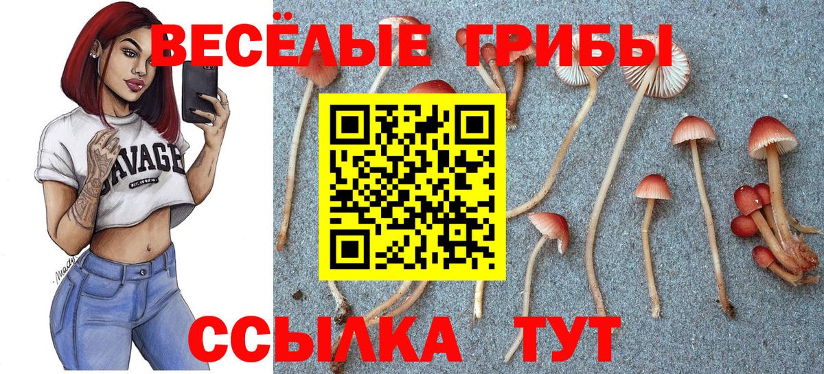 Галлюциногенные грибы Psilocybine cubensis  Ульяновск 