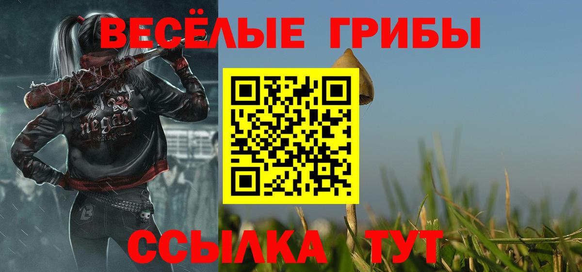 Галлюциногенные грибы Psilocybine cubensis Ульяновск